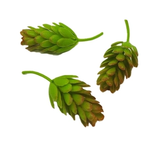 Chmel šišky 4 cm, 3 ks