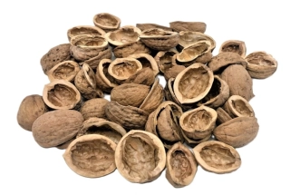 Skořápka vlašský ořech, 10 ks (S-M)