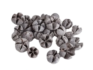 Tillenium plody 1,5-2 cm bílá, 10 ks