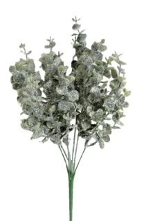 Eukalyptus 35 cm, zimní (X5KLI)