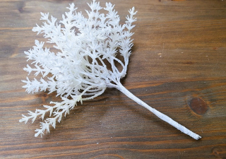 Cypřiš 19 cm bílá, 10 ks