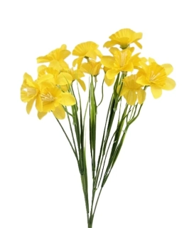 Narcis 34 cm (15 květů), žlutá