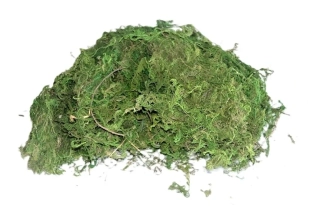 Mech sušený 25 g 