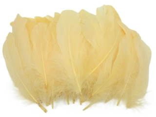 Peří 15 - 17 cm oranžová pastel, 5 ks