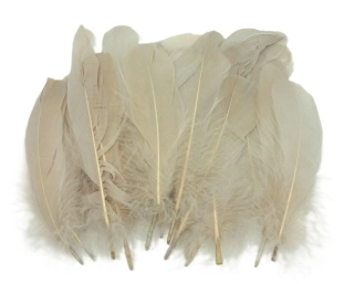 Peří 15 - 17 cm krémová, 5 ks