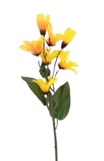 Zlatice (zlatý déšť) 32 cm (FLE)