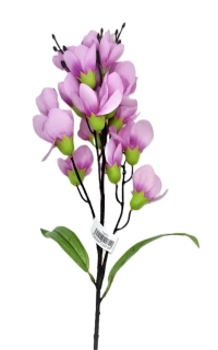 Magnolie 50 cm X20, růžová tmavá