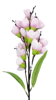 Magnolie 50 cm X20, růžová světlá