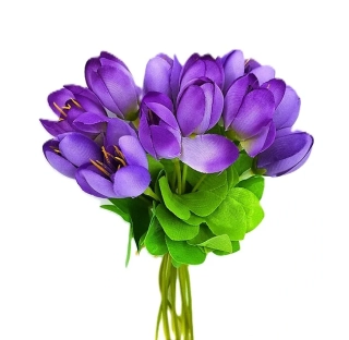 Krokusy 20 cm svazek 10 ks, fialová