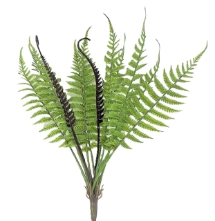 Kapradí 41 cm, zelená a hnědé výhony