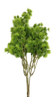 Větev modřín 44 cm