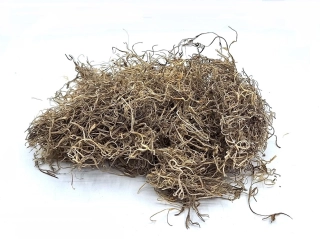 Lišejník Tilancia 25 g, přírodní (nebarveno)