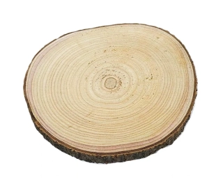 Kulatina 26 - 28 cm, akát