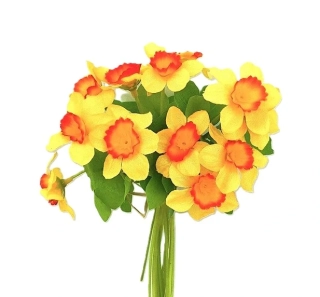 Narcis 20 cm svazek 10 ks, žlutá (květ kulatý)