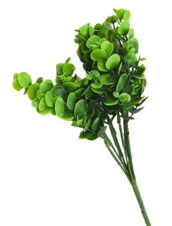 Eukalyptus 30 cm X9, zelená světlá