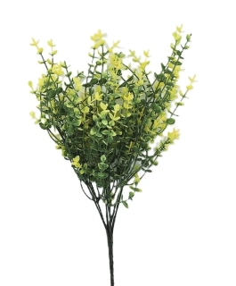 Eukalyptus drobnolistý 35 cm, zelená/žlutá