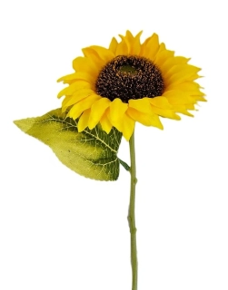 Slunečnice 33 cm/Ø 12 cm (RS)