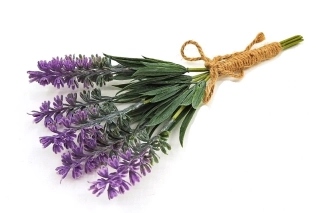 Levandule 23 cm, svazek 6 ks