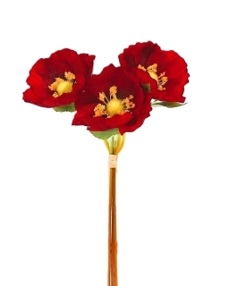 Vlčí mák 30 cm, svazek 3 ks