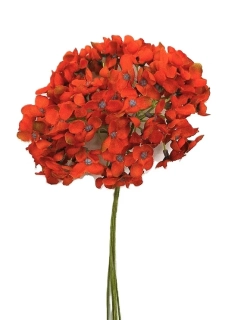 Hortenzie 25 cm svazek 6 ks, červená