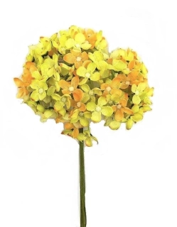 Hortenzie 25 cm svazek 6 ks, žlutá/oranžová