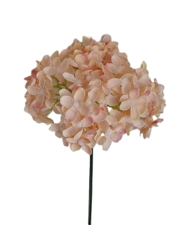 Hortenzie 25 cm svazek 6 ks, růžová