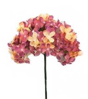 Hortenzie 25 cm svazek 6 ks, růžová/oranžová