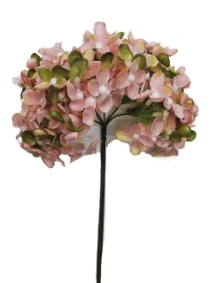 Hortenzie 25 cm svazek 6 ks, růžová/zelená