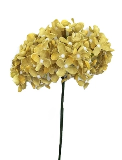 Hortenzie 25 cm svazek 6 ks, latté