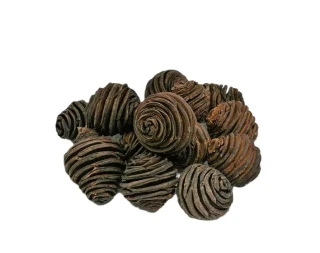 Šiška Platyspermum 6 - 8 cm natural XL, 1 ks