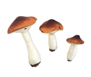 Houby 6/7/10 cm, 3 ks (18210-2) medová