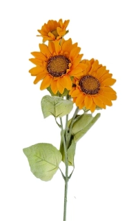 Slunečnice 63 cm 3 květy, žlutá tmavá