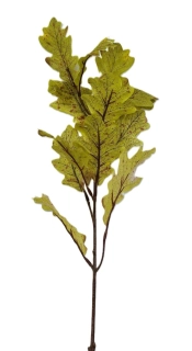 Větev dub 65 cm/X12, žíhaná zelená