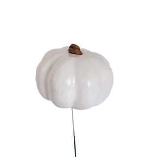 Dýně 6,5 cm zápich, bílá (RS)