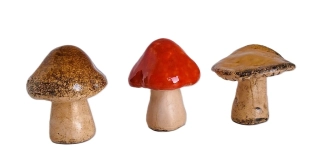 Houby mix 6/7,5 cm, 3 ks (AT)