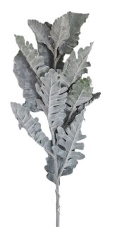 Starček 75 cm, samet šedá