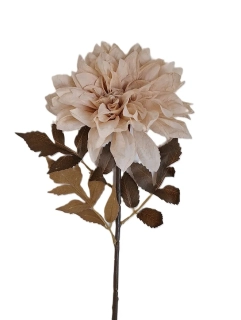 Jiřina 55 cm hnědý list, krémová