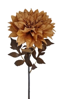 Jiřina 55 cm hnědý list, květ písková