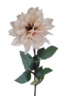 Jiřina 60 cm zelený list, bílá