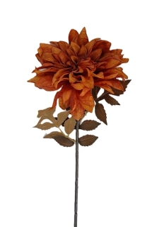 Jiřina 55 cm hnědý list, flame