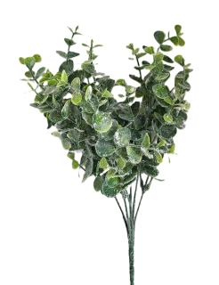 Eukalyptus 32 cm zelená, sníh (X7CMD)
