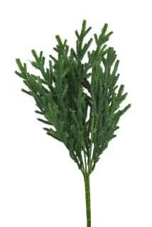 Větvička tis 40 cm, zelená