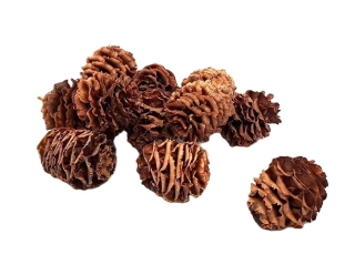 Šiška Strictum 3 - 4,5 cm přírodní, 5 ks