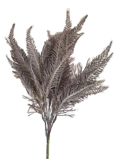 Kapradí 44 cm X7, šedá tmavá