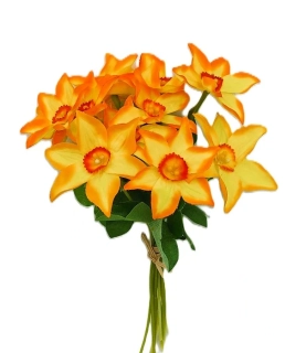 Narcis 20 cm svazek 10 ks, žlutá/oranžová (špičaté)