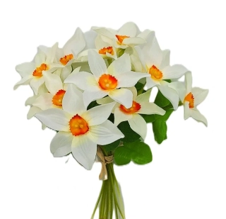 Narcis 20 cm svazek 10 ks, bílá (špičaté)