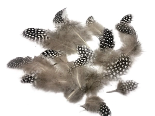 Peří 5 - 8 cm kropenatá šedá, 5 g